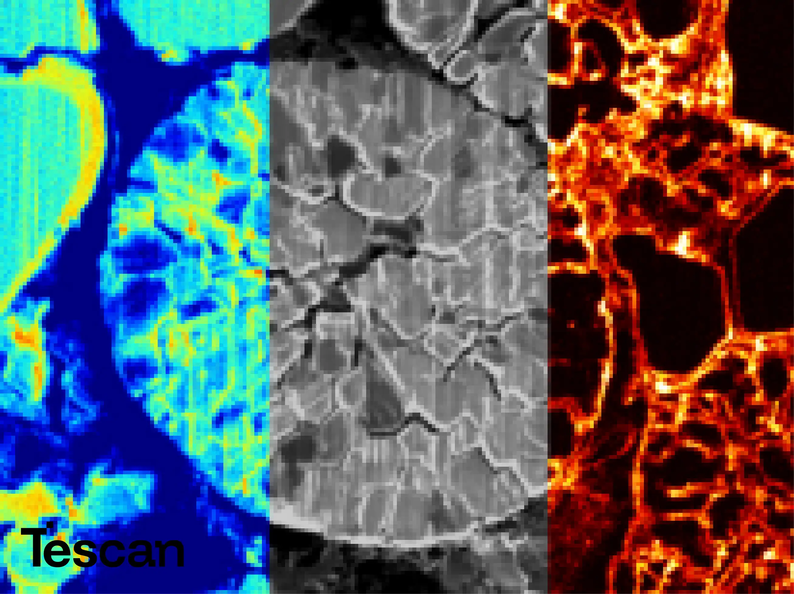 Tescan FIB-SEM for Life Science